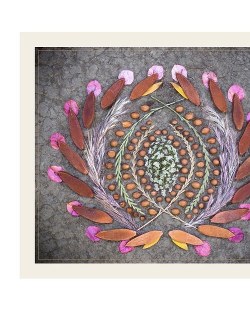 Luminary Circle — a mandala of leaves and petals