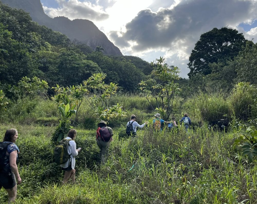 Walking together through the valley